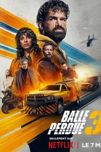 Шальная пуля З